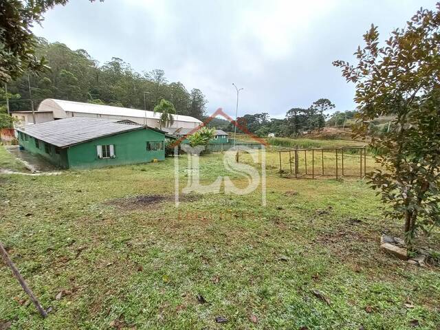 #146 - Sítio para Venda em Ibiúna - SP