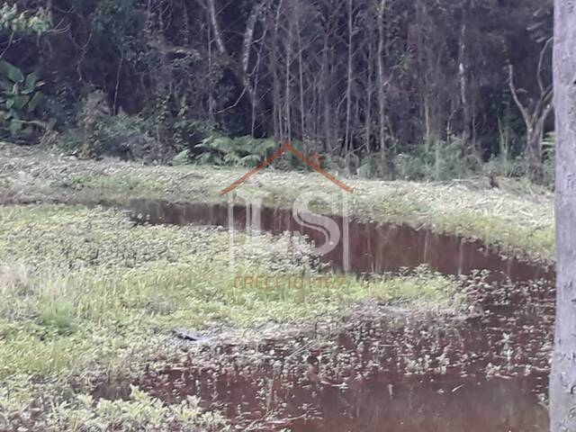 #155 - Sítio para Venda em Ibiúna - SP