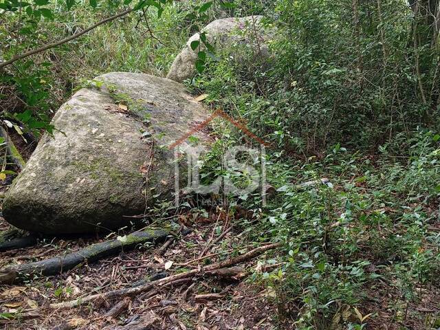 #156 - Área para Venda em Ibiúna - SP