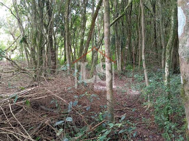 #156 - Área para Venda em Ibiúna - SP