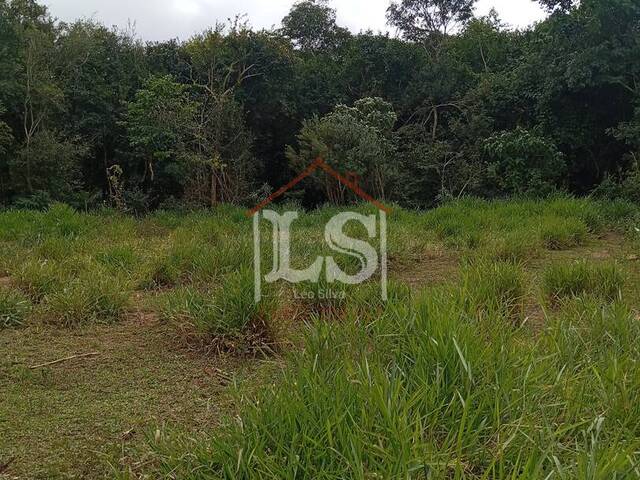 #156 - Área para Venda em Ibiúna - SP