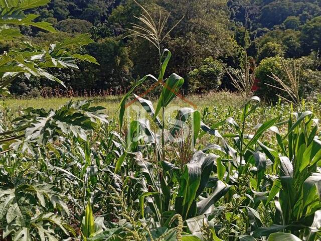 #163 - Área para Venda em Ibiúna - SP