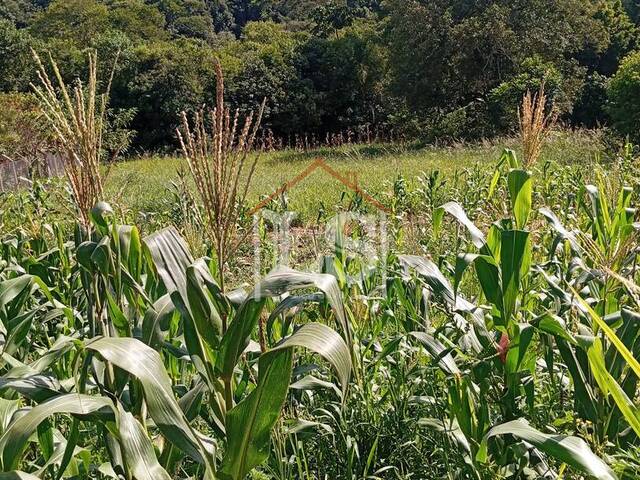 #163 - Área para Venda em Ibiúna - SP