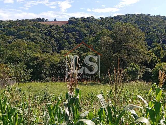 #163 - Área para Venda em Ibiúna - SP