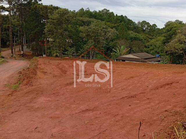 #197 - Área para Venda em Ibiúna - SP