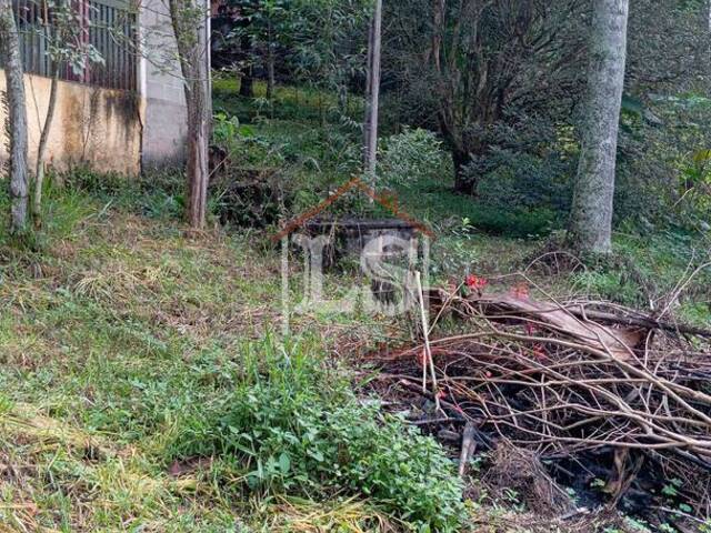 #200 - Chácara para Venda em Ibiúna - SP