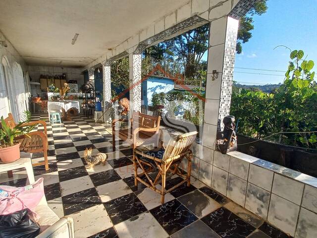  para  em  - 4