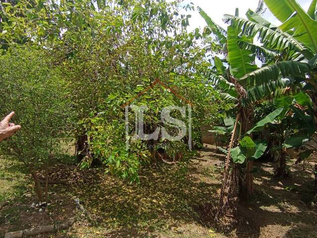 #262 - Chácara para Venda em Ibiúna - SP