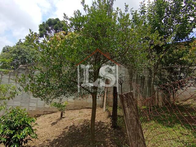 #262 - Chácara para Venda em Ibiúna - SP