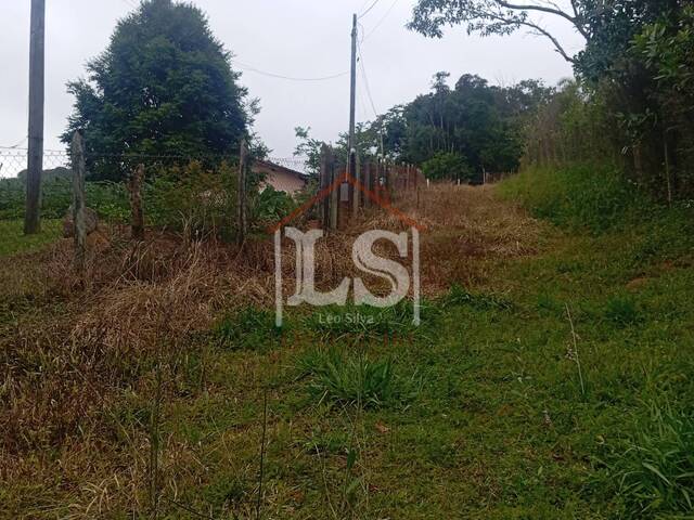  para  em  - 4